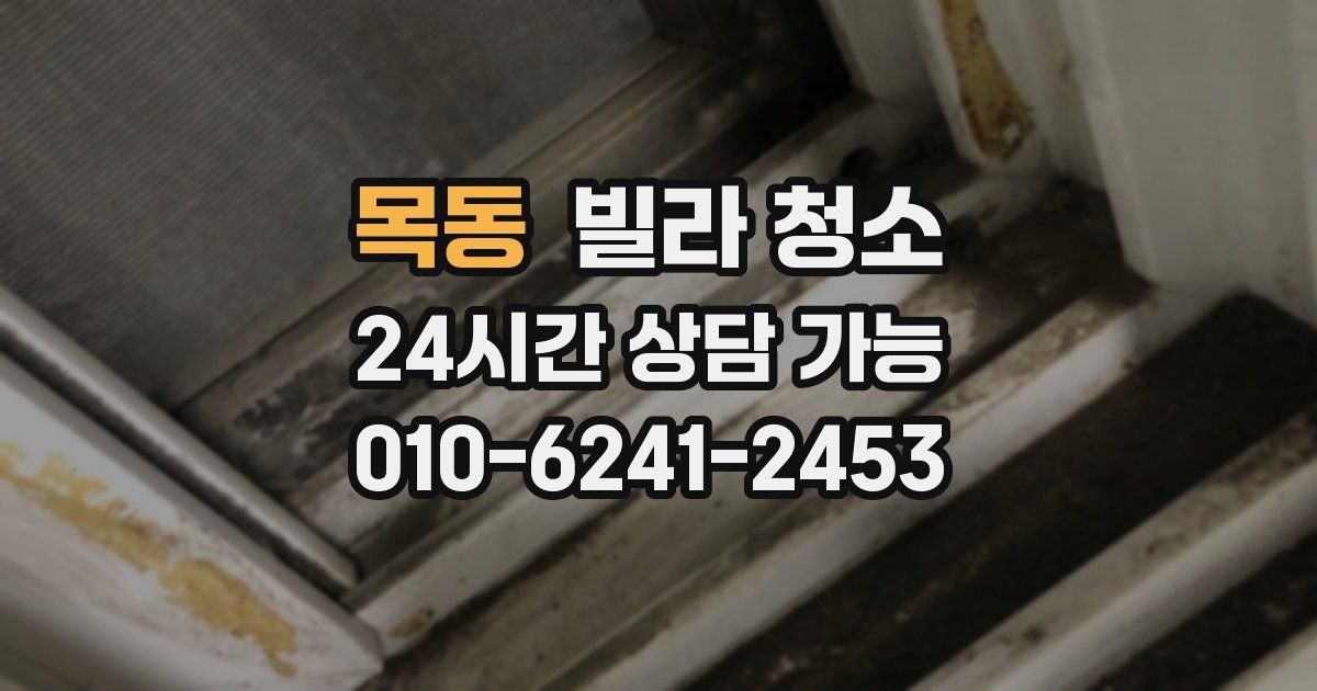 목동 빌라 청소