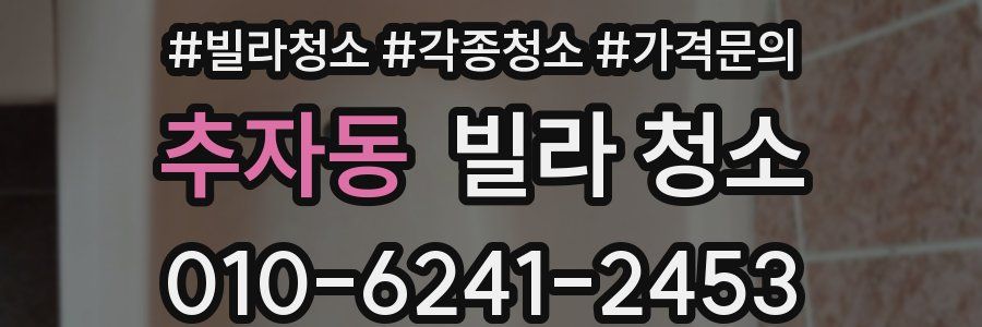 추자동 빌라 청소