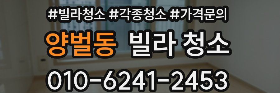 양벌동 빌라 청소