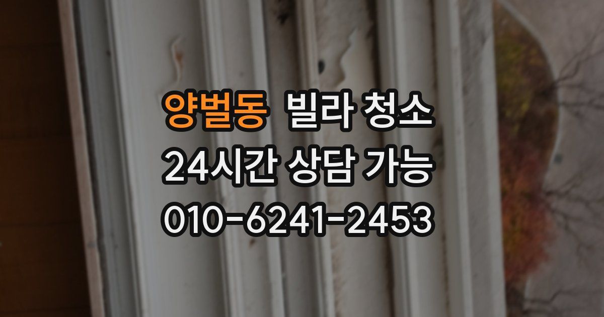 양벌동 빌라 청소