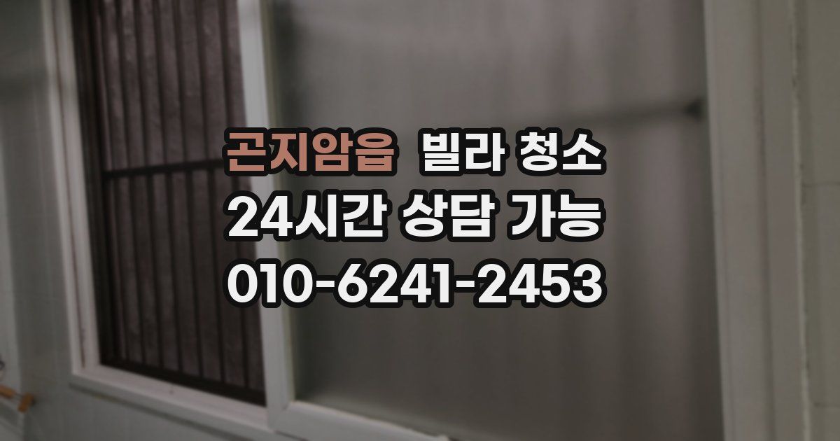 곤지암읍 빌라 청소