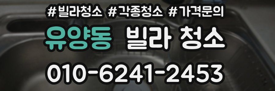 유양동 빌라 청소