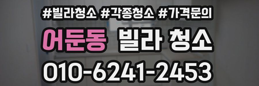 어둔동 빌라 청소