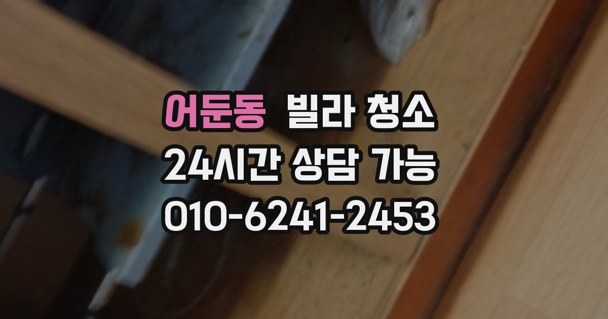 어둔동 빌라 청소