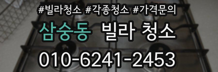 삼숭동 빌라 청소