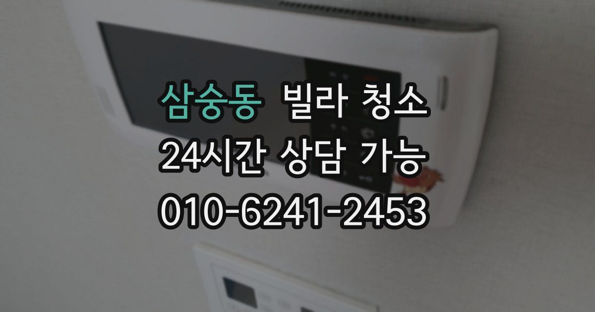 삼숭동 빌라 청소