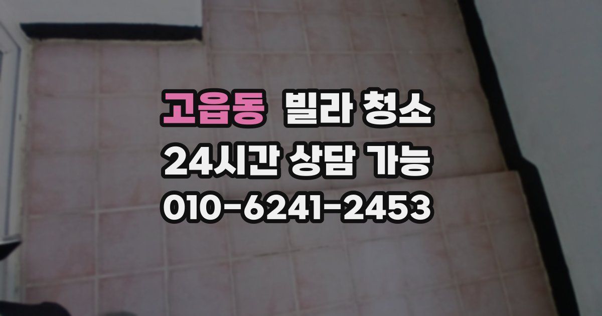 고읍동 빌라 청소