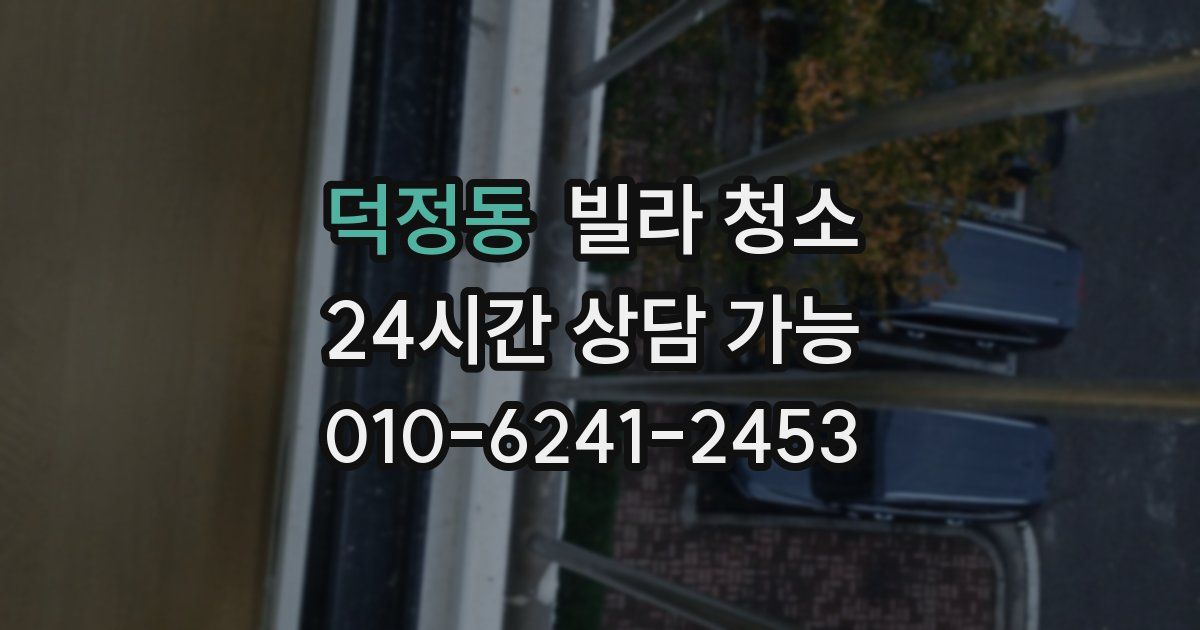 덕정동 빌라 청소