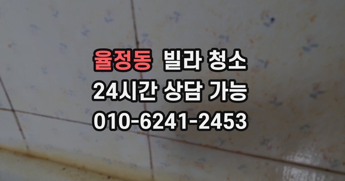 율정동 빌라 청소