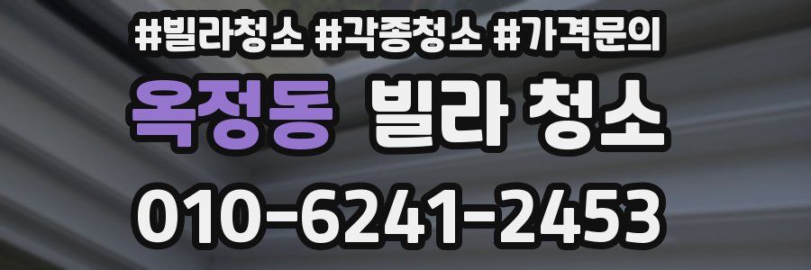 옥정동 빌라 청소