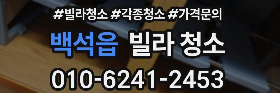 백석읍 빌라 청소