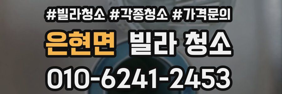 은현면 빌라 청소