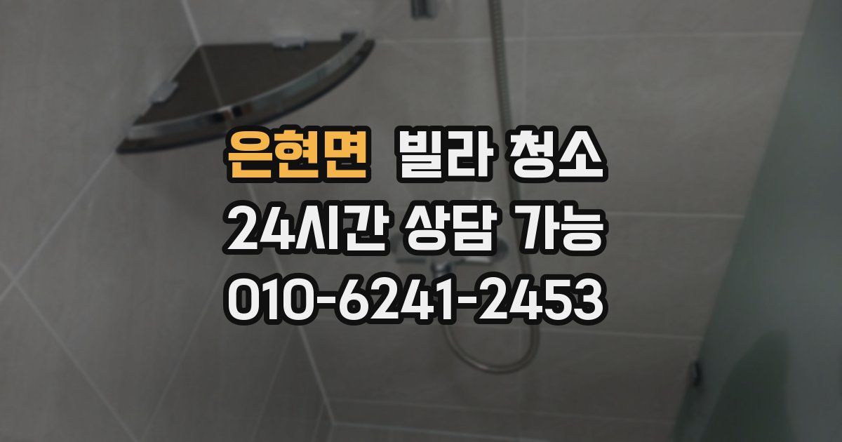 은현면 빌라 청소