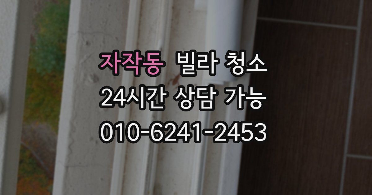 자작동 빌라 청소