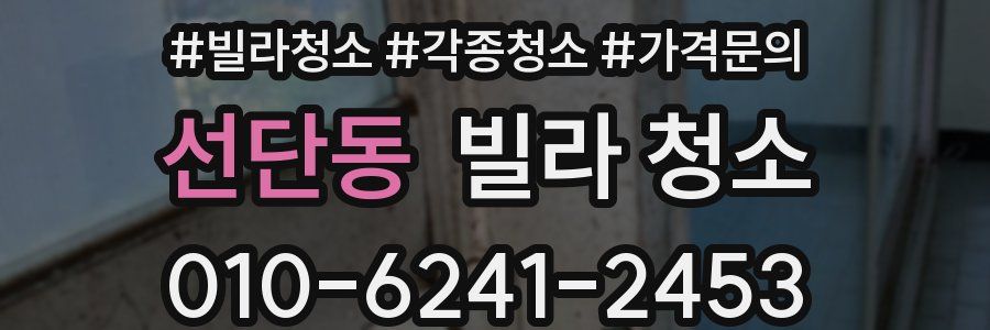 선단동 빌라 청소