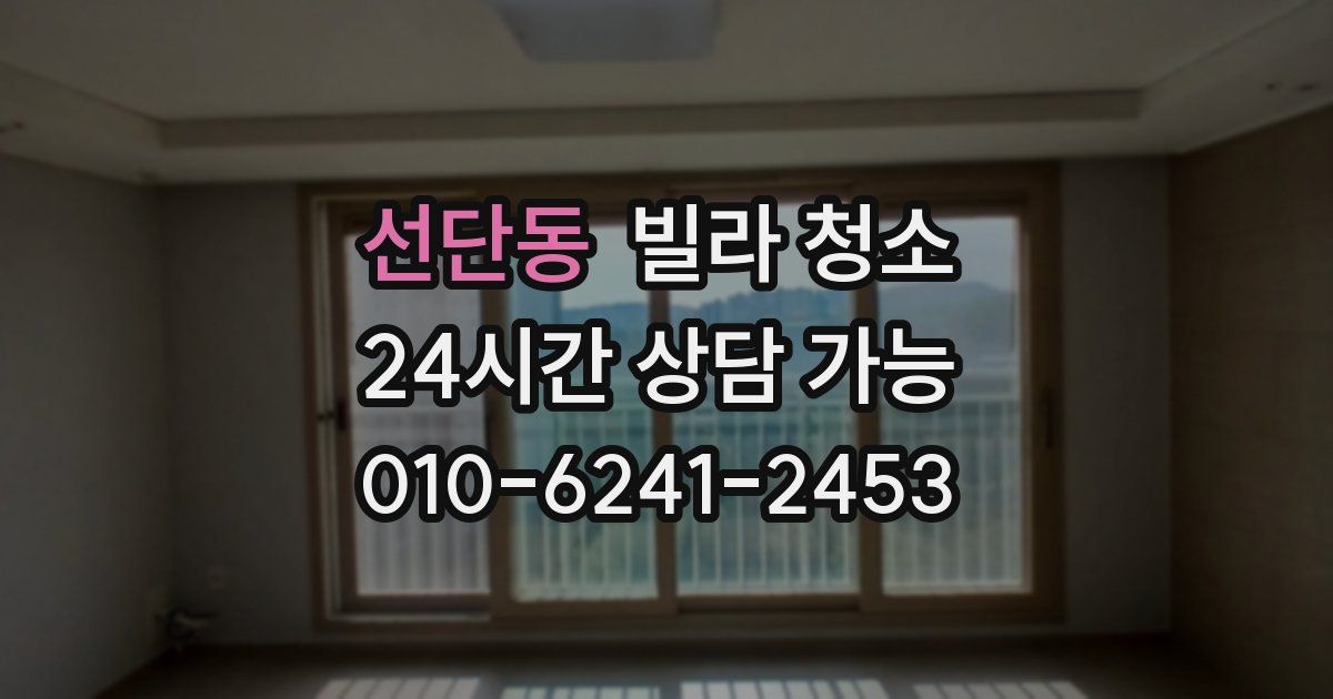 선단동 빌라 청소