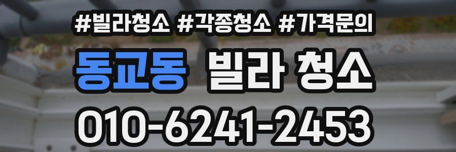 동교동 빌라 청소