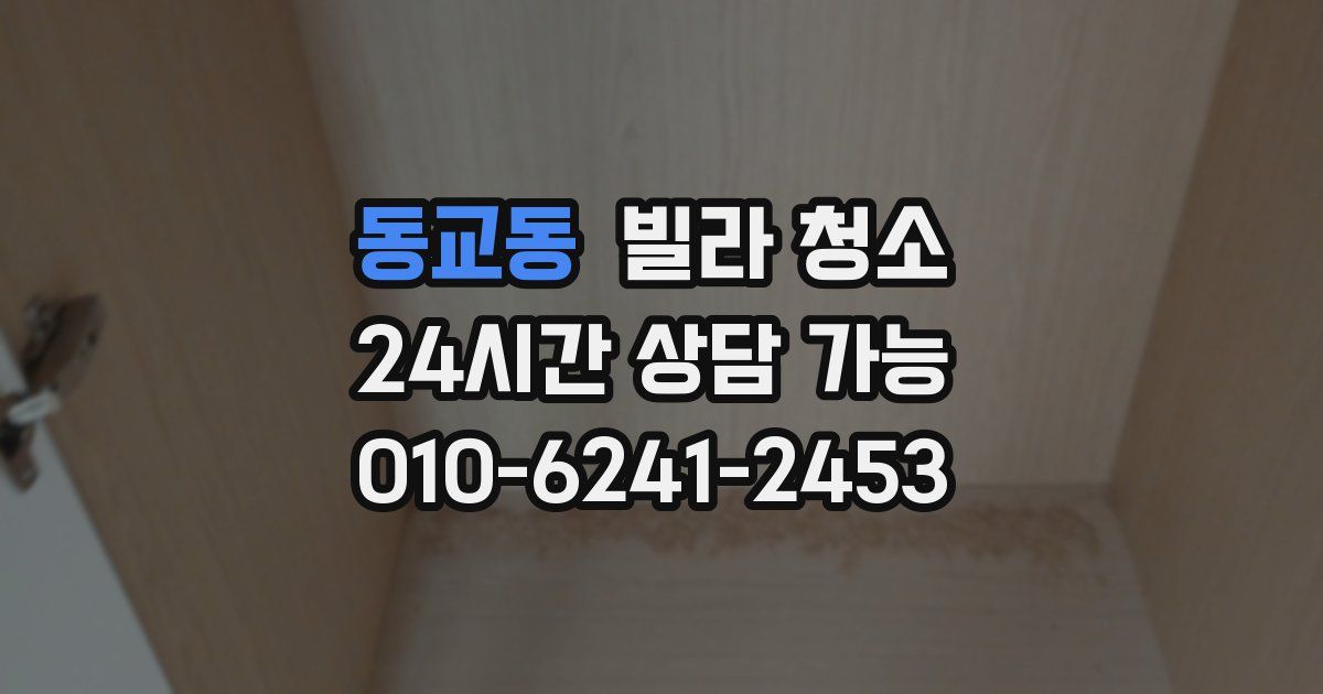 동교동 빌라 청소