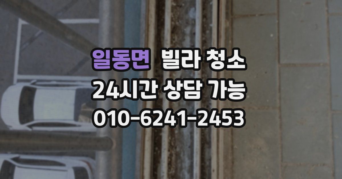 일동면 빌라 청소