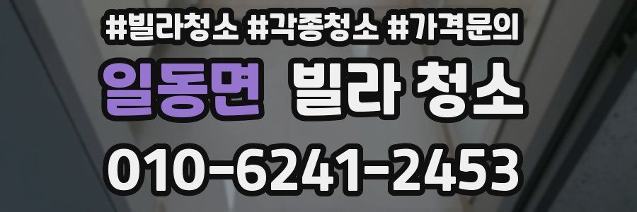 일동면 빌라 청소