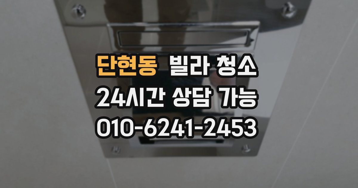 단현동 빌라 청소