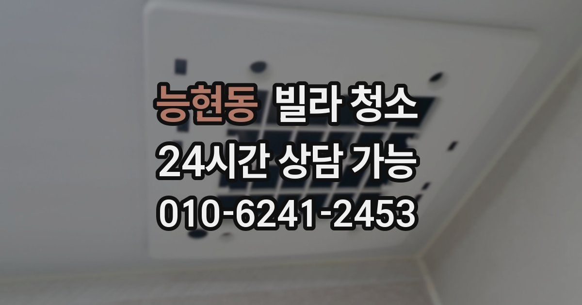 능현동 빌라 청소