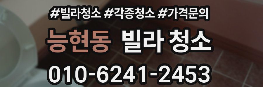 능현동 빌라 청소