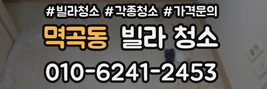 멱곡동 빌라 청소