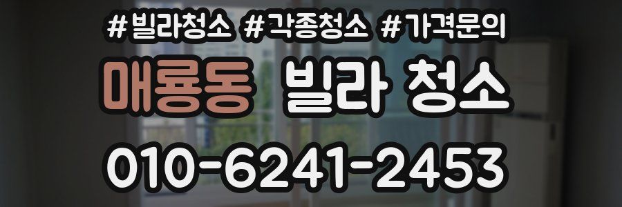 매룡동 빌라 청소