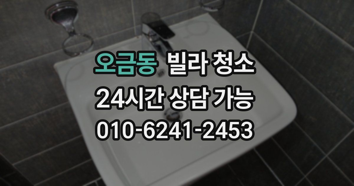 오금동 빌라 청소