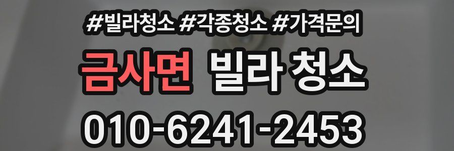 금사면 빌라 청소