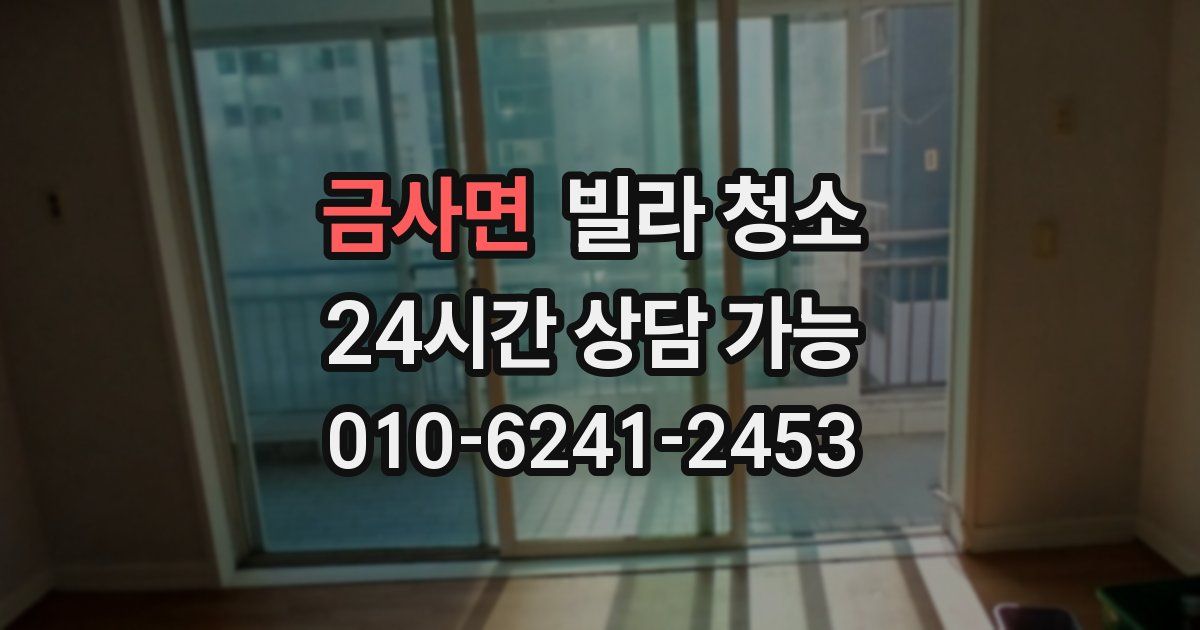 금사면 빌라 청소