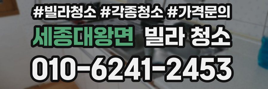 세종대왕면 빌라 청소