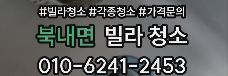 북내면 빌라 청소