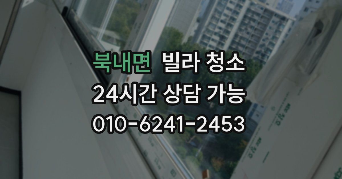 북내면 빌라 청소