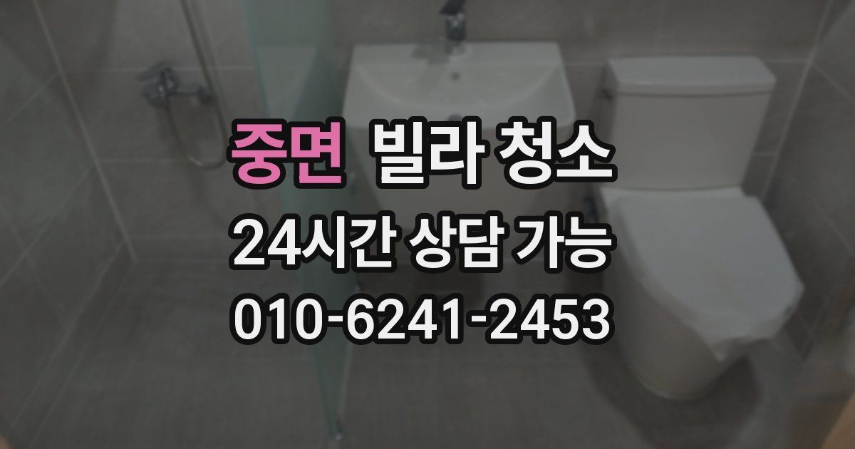 중면 빌라 청소