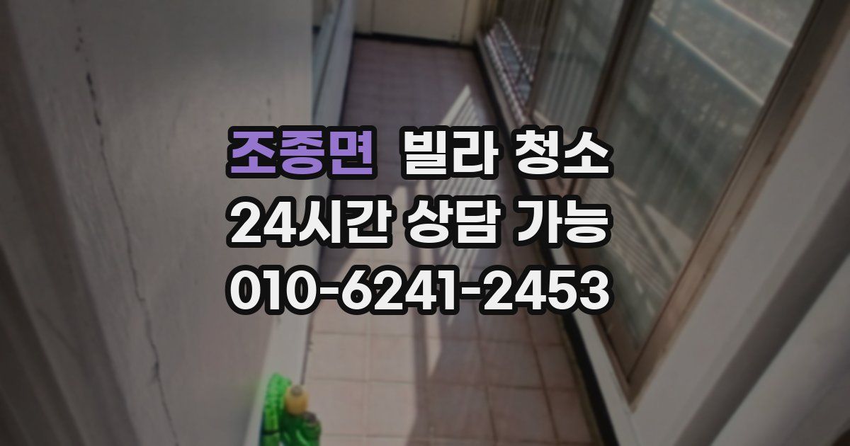 조종면 빌라 청소