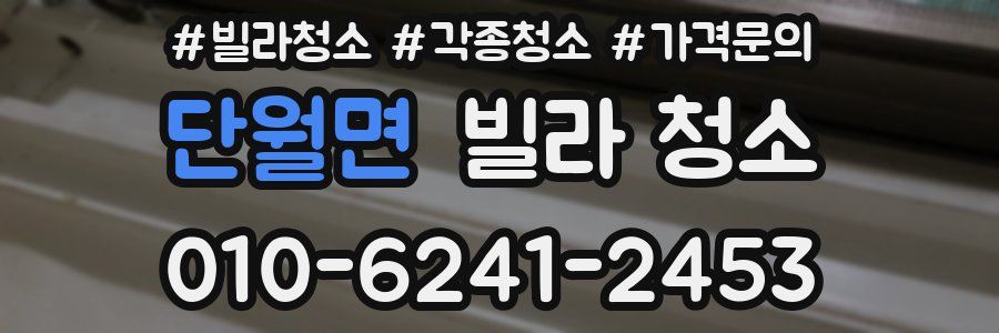 단월면 빌라 청소