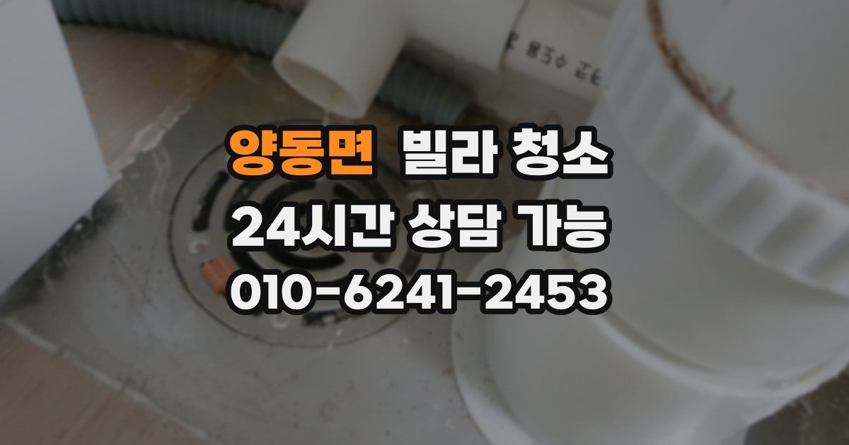 양동면 빌라 청소