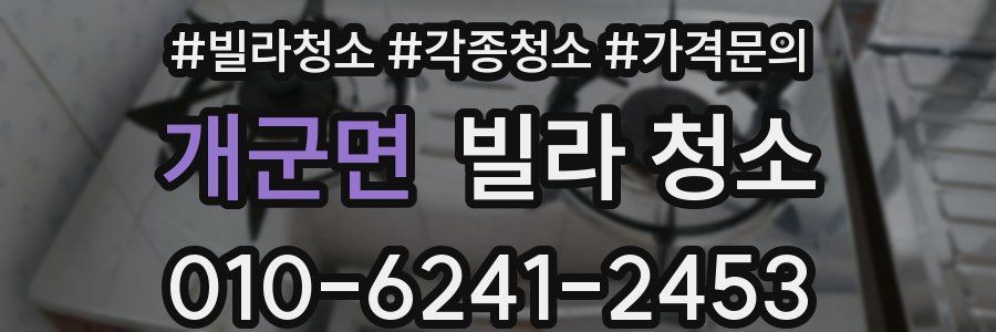 개군면 빌라 청소