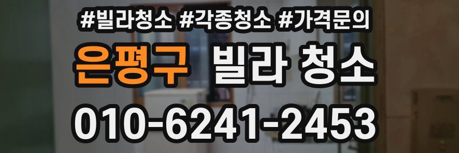 은평구 빌라 청소