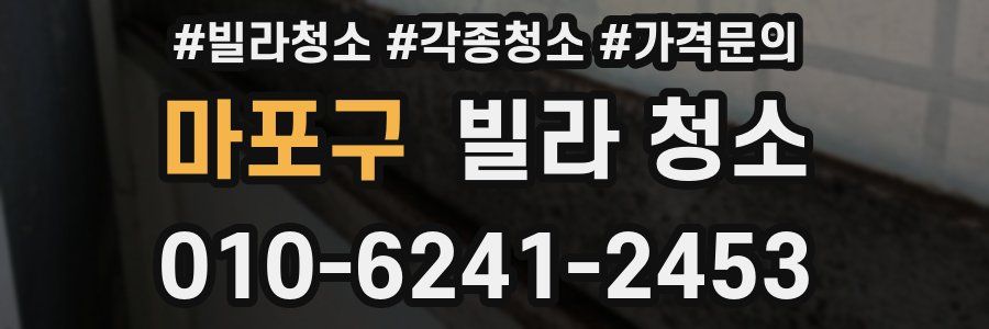 마포구 빌라 청소