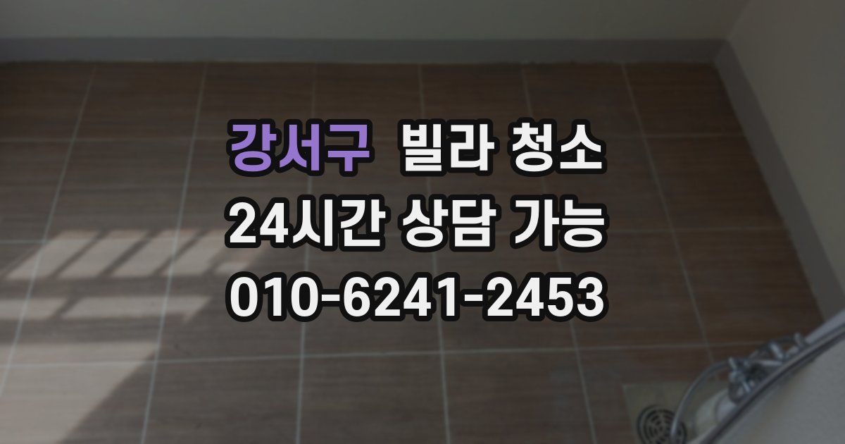 강서구 빌라 청소