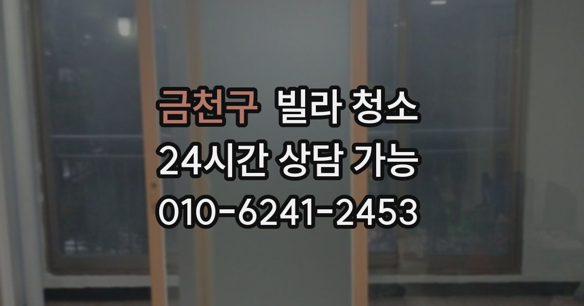 금천구 빌라 청소