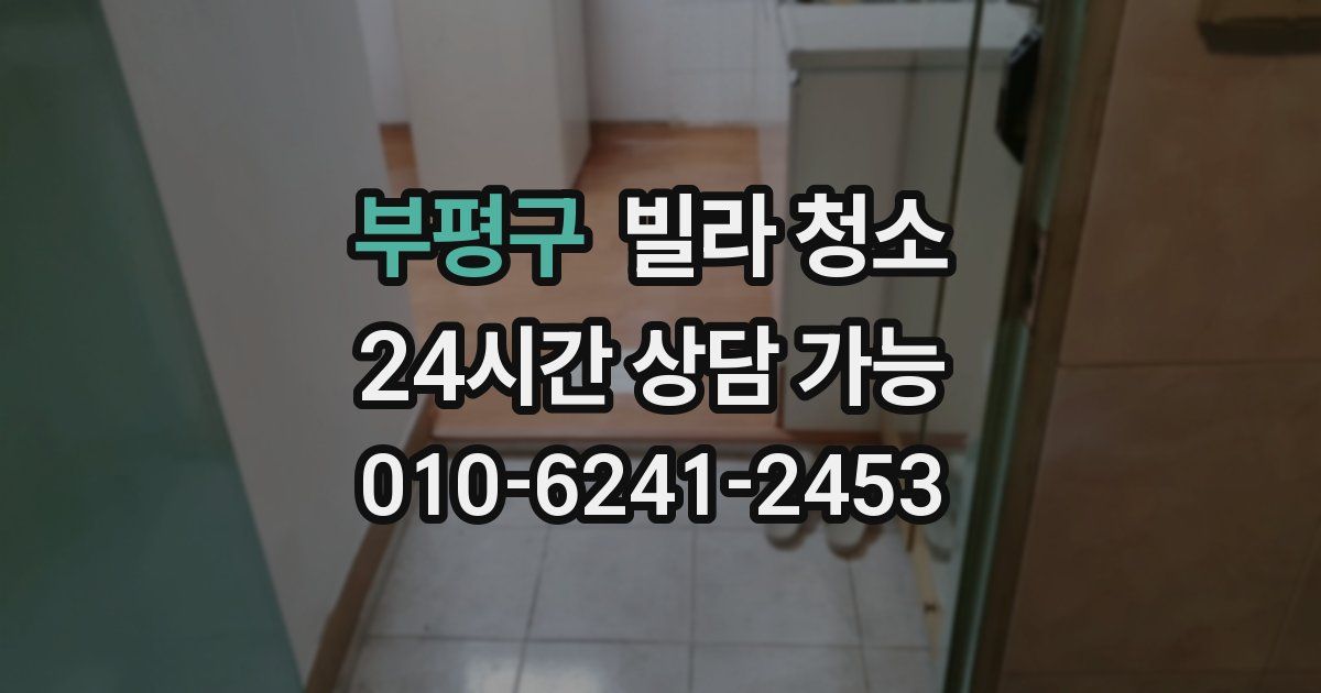 부평구 빌라 청소