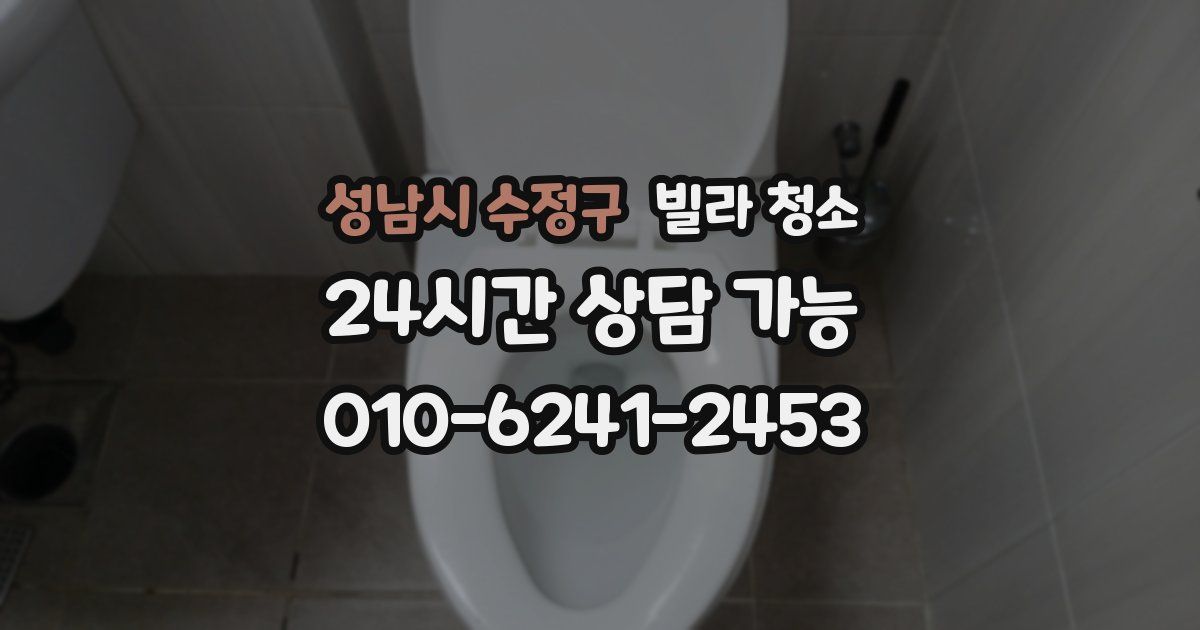 성남시 수정구 빌라 청소