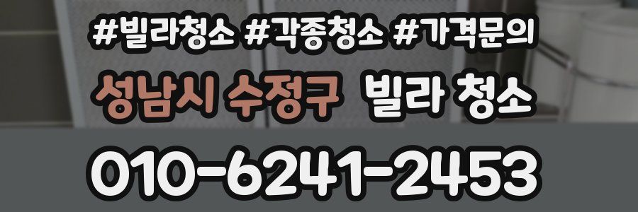 성남시 수정구 빌라 청소