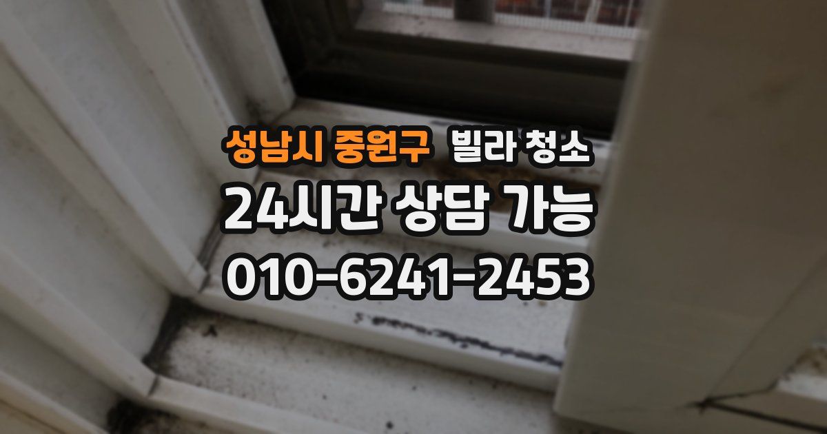 성남시 중원구 빌라 청소