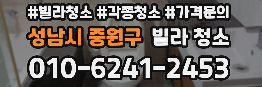 성남시 중원구 빌라 청소