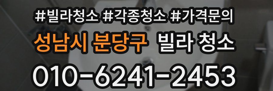 성남시 분당구 빌라 청소